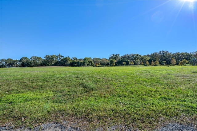 10948 Down Park Ln, Windermere, FL 34786 - photo 23