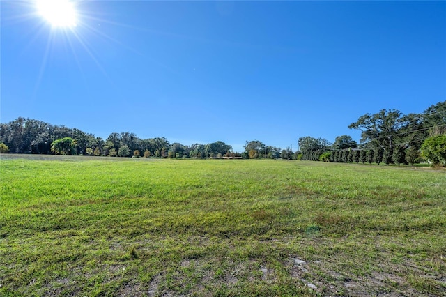 10948 Down Park Ln, Windermere, FL 34786 - photo 24