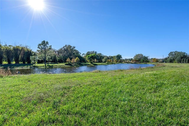 10948 Down Park Ln, Windermere, FL 34786 - photo 26