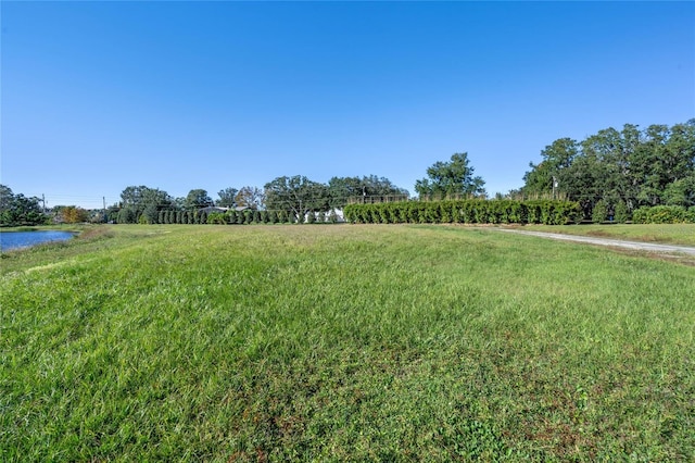 10948 Down Park Ln, Windermere, FL 34786 - photo 27