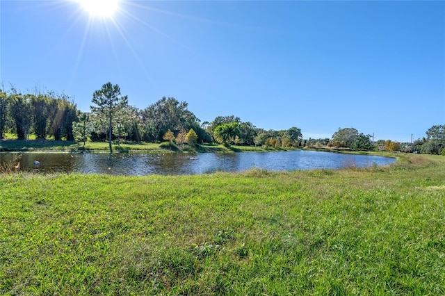 10948 Down Park Ln, Windermere, FL 34786 - photo 28