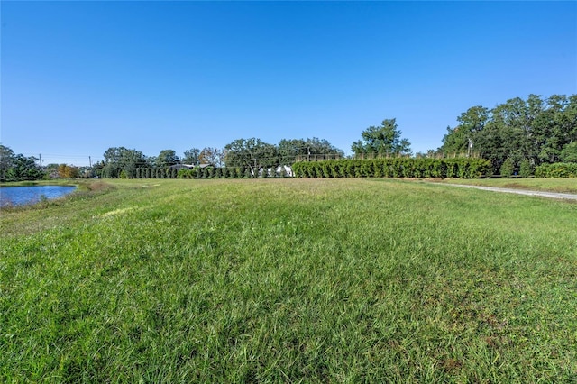 10948 Down Park Ln, Windermere, FL 34786 - photo 29