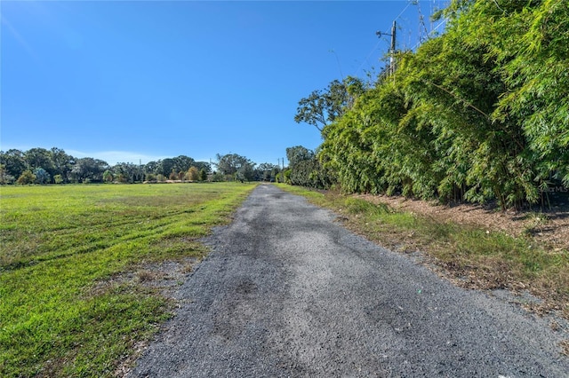 10948 Down Park Ln, Windermere, FL 34786 - photo 30