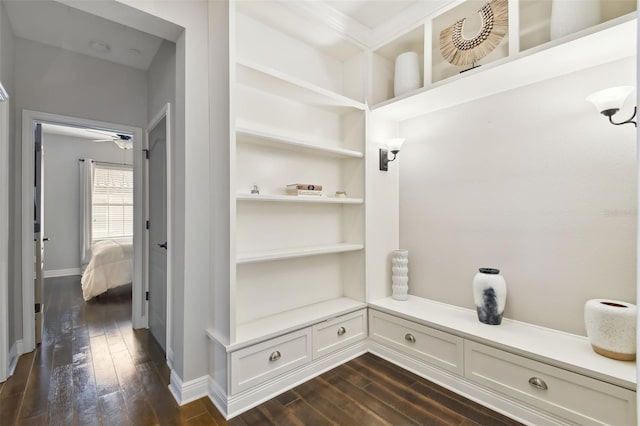 mudroom featuring dark hardwood / wood-style floors and ceiling fan