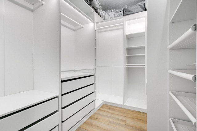 spacious closet with light hardwood / wood-style flooring