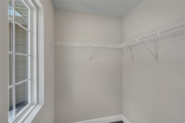 view of spacious closet