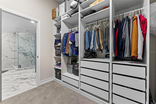 spacious closet featuring carpet floors