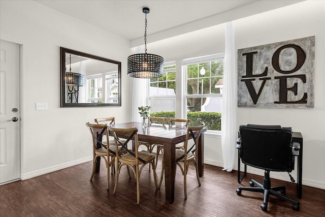 dining space featuring dark wood-type flooring