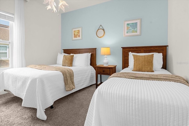 bedroom featuring carpet flooring