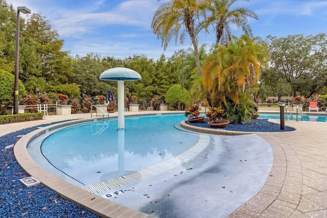 view of pool featuring a patio