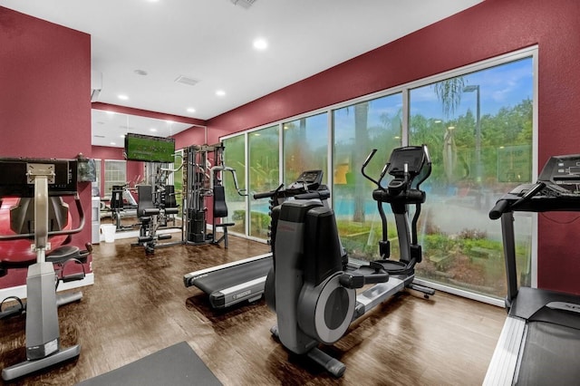 gym with hardwood / wood-style flooring and plenty of natural light