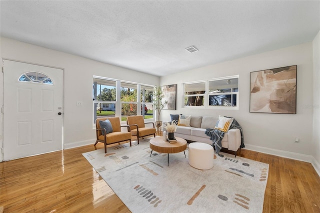 living room with a textured ceiling and light hardwood / wood-style floors