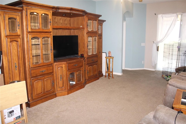 living room featuring carpet