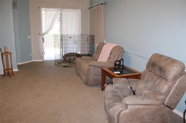 sitting room featuring carpet flooring