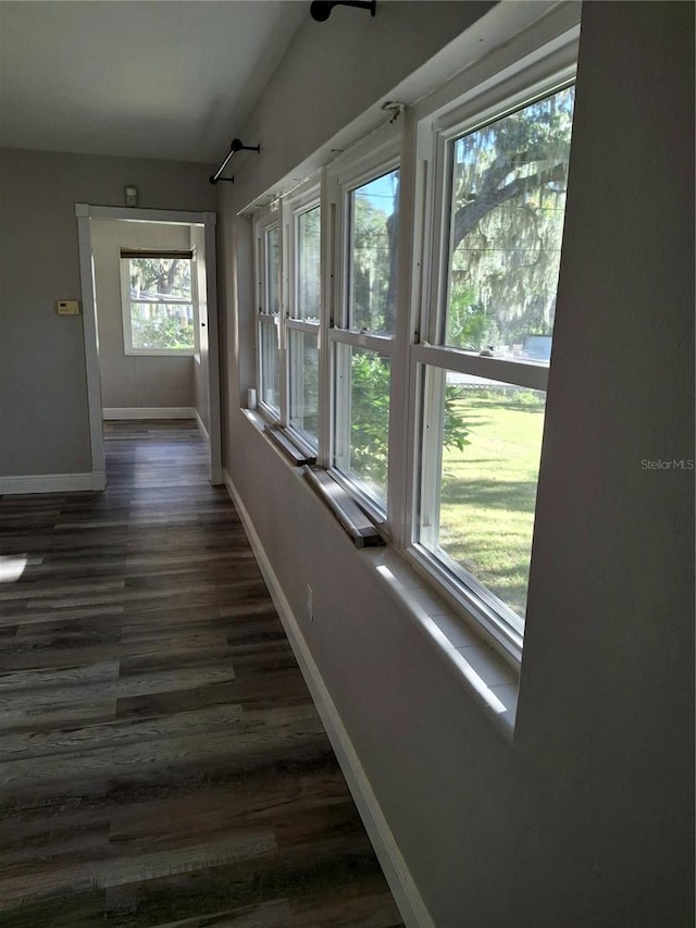 hall with dark hardwood / wood-style flooring and plenty of natural light