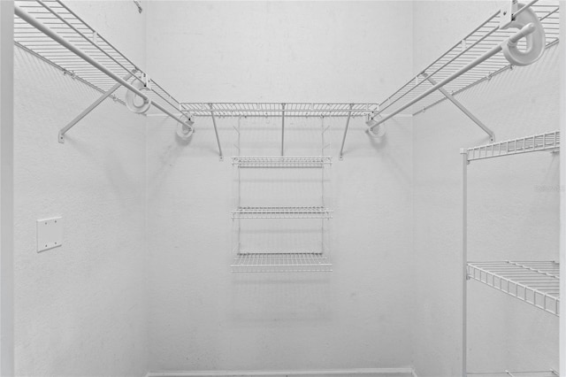 7135 Yacht Basin Ave Unit 237, Orlando, FL 32835 - view of walk in closet