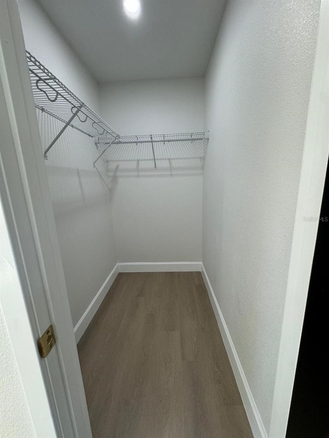 walk in closet featuring hardwood / wood-style floors