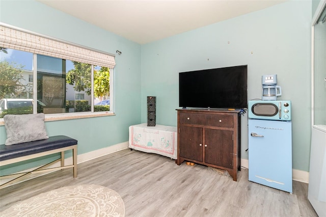 bedroom with light hardwood / wood-style floors