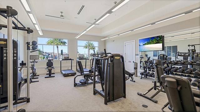 workout area with light carpet