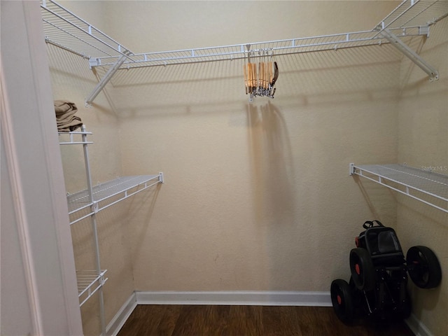 walk in closet with hardwood / wood-style floors