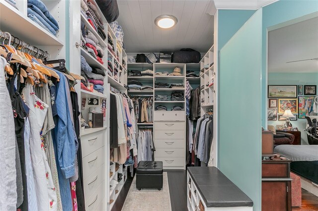 view of spacious closet