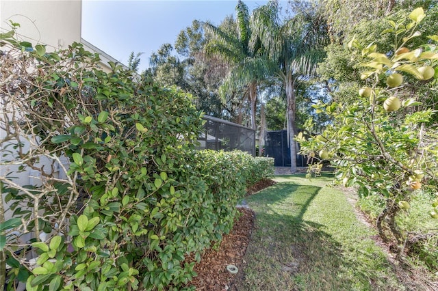 view of yard with a lanai