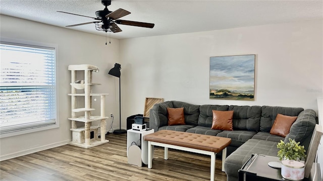 living room featuring ceiling fan, a textured ceiling, and light wood-type flooring