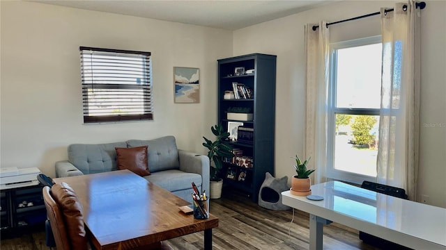 living room with a wealth of natural light and hardwood / wood-style floors