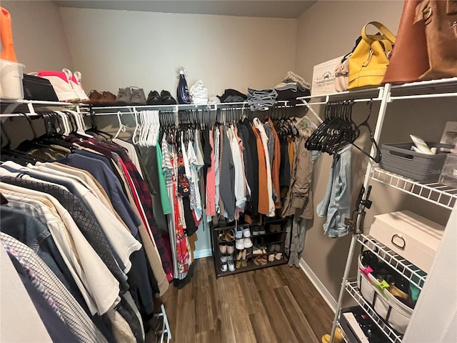 walk in closet with hardwood / wood-style floors