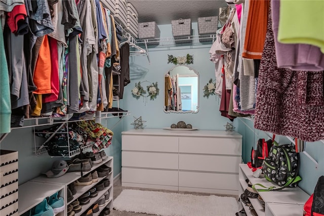 view of spacious closet