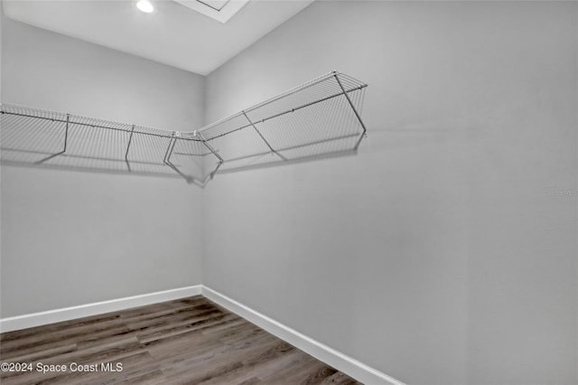 walk in closet featuring hardwood / wood-style floors