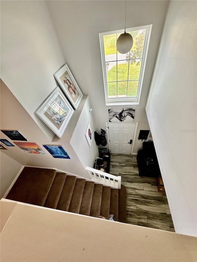 staircase featuring wood-type flooring