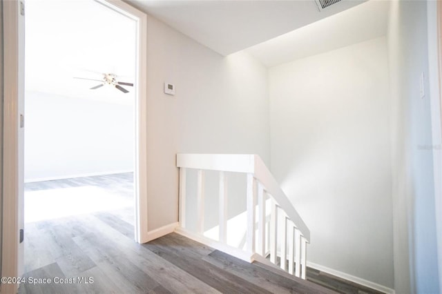 stairway featuring ceiling fan and wood-type flooring