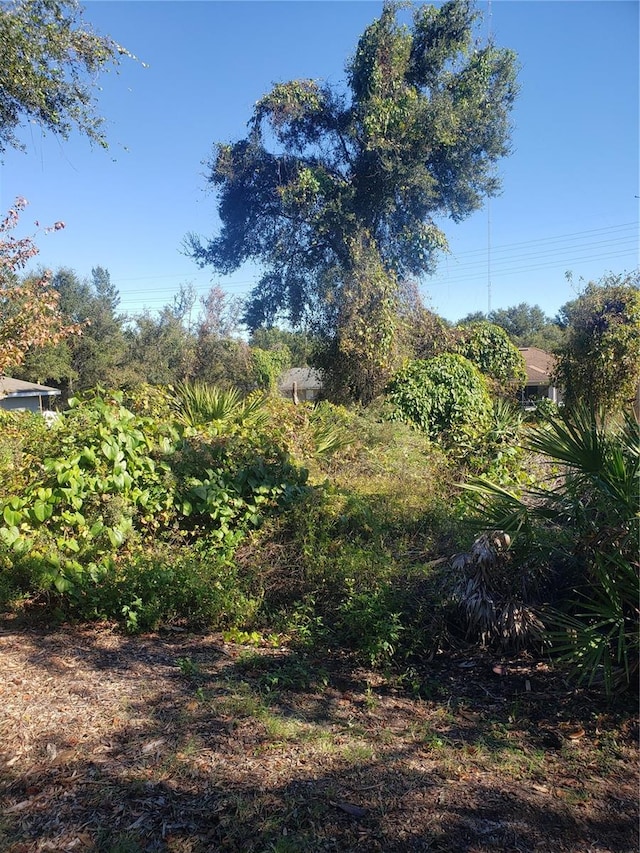 Chestnut Ave, Orange City FL, 32763 land for sale