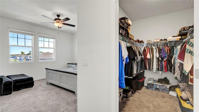 spacious closet featuring light colored carpet and ceiling fan