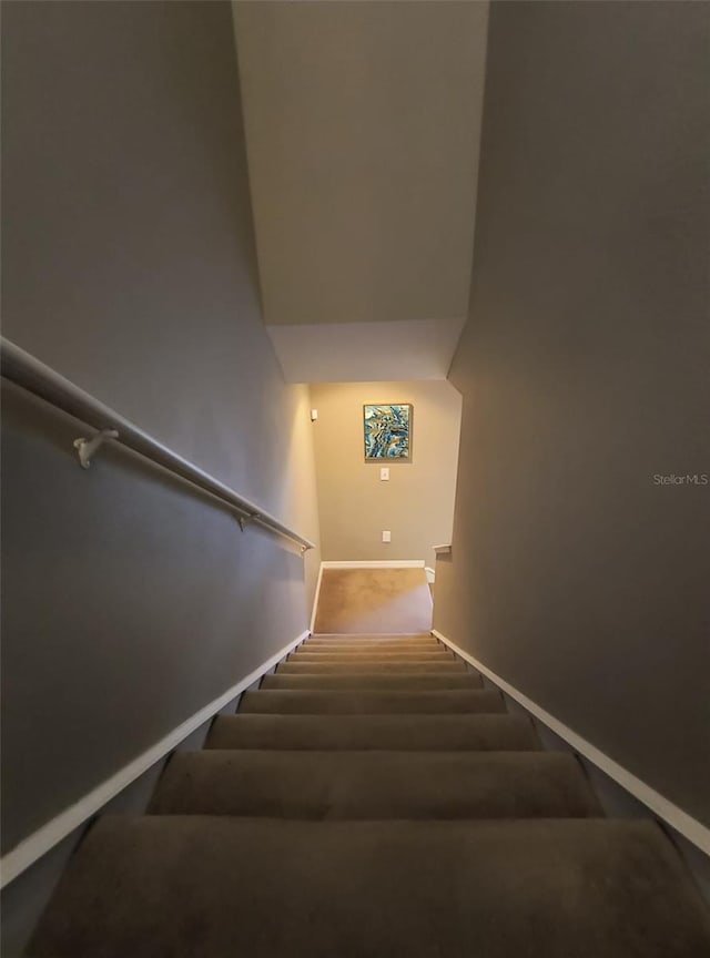 stairs with carpet floors