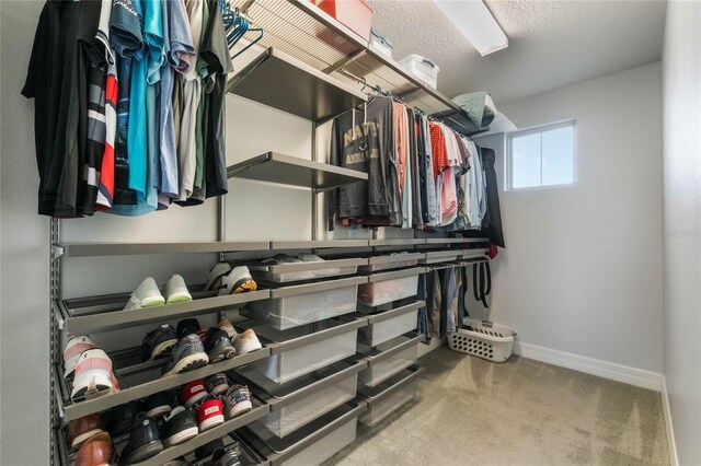 walk in closet with light colored carpet