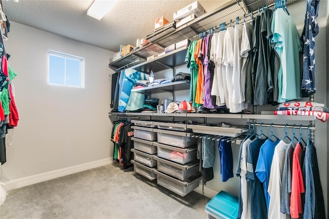 walk in closet featuring carpet floors