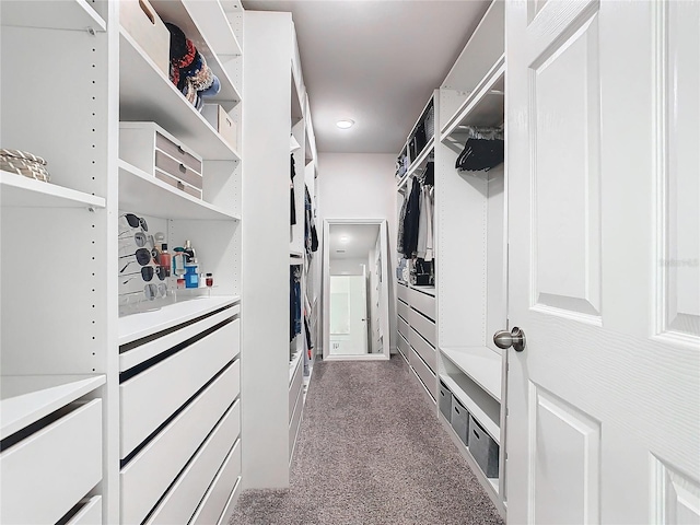 spacious closet featuring light carpet