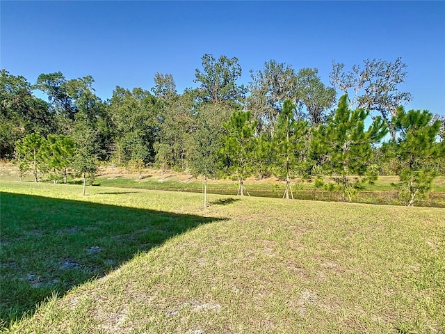 view of yard with a rural view