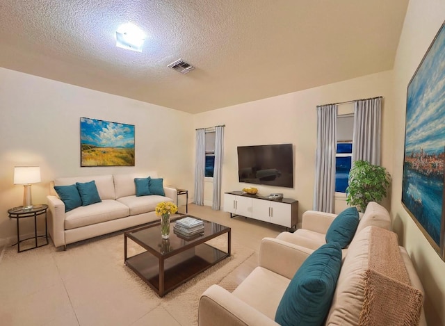 living room featuring a textured ceiling