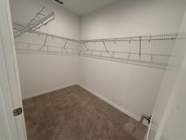 spacious closet with carpet flooring