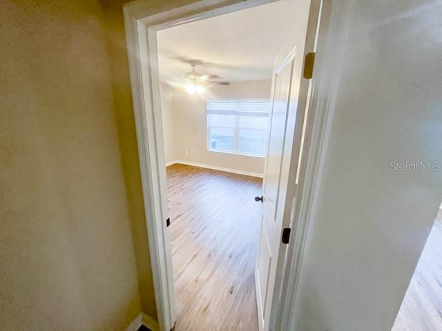 corridor featuring light hardwood / wood-style floors