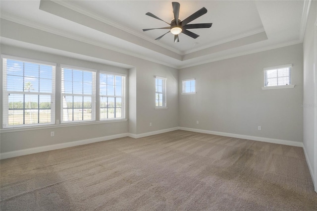 spare room featuring a raised ceiling, ceiling fan, carpet floors, and ornamental molding