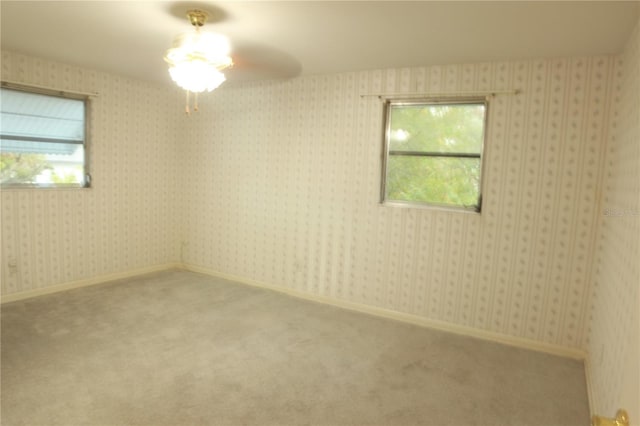 unfurnished room with carpet floors