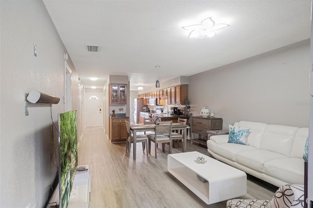 living room with a textured ceiling and light hardwood / wood-style flooring