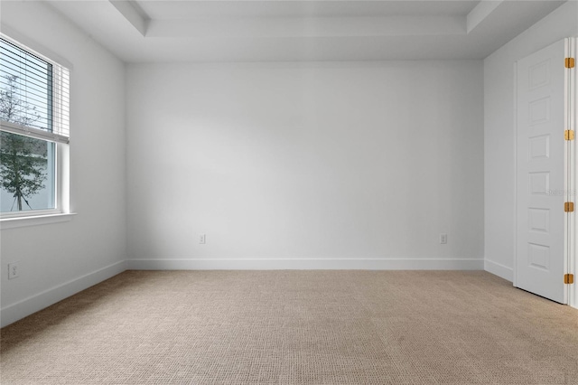 carpeted spare room with plenty of natural light and a tray ceiling