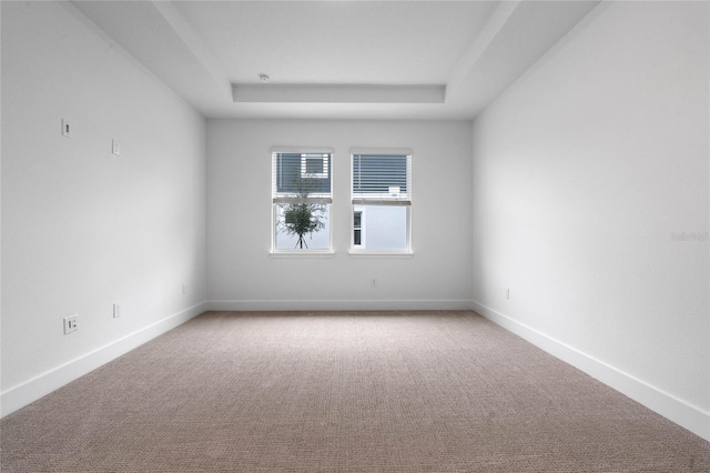 empty room featuring a tray ceiling and carpet flooring