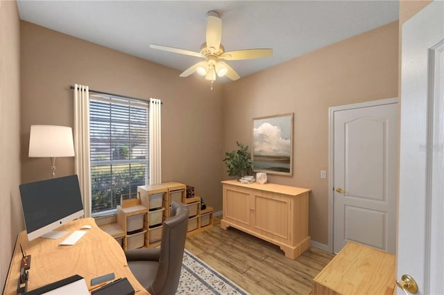 office area featuring ceiling fan and light hardwood / wood-style flooring