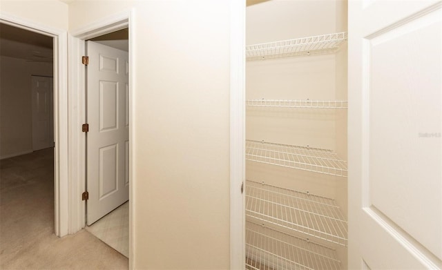 view of closet